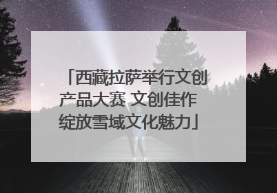 西藏拉萨举行文创产品大赛 文创佳作绽放雪域文化魅力