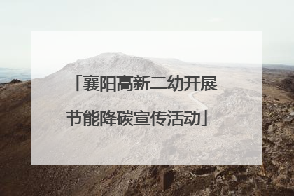 襄阳高新二幼开展节能降碳宣传活动