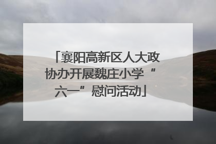 襄阳高新区人大政协办开展魏庄小学“六一”慰问活动