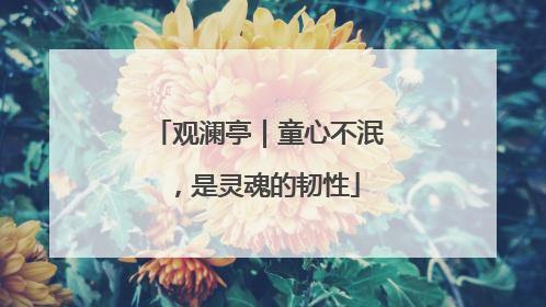 观澜亭｜童心不泯，是灵魂的韧性