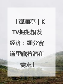观澜亭｜KTV拥抱银发经济：细分赛道里藏着潜在需求