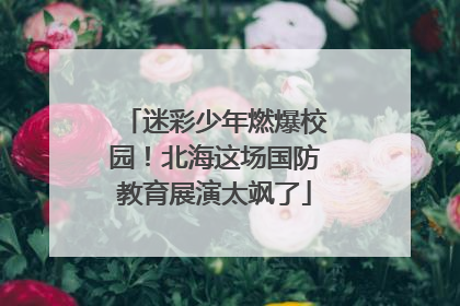 迷彩少年燃爆校园！北海这场国防教育展演太飒了