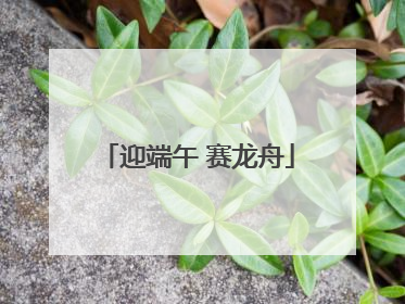 迎端午 赛龙舟