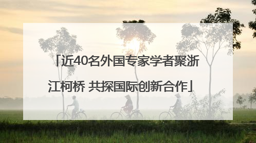 近40名外国专家学者聚浙江柯桥 共探国际创新合作