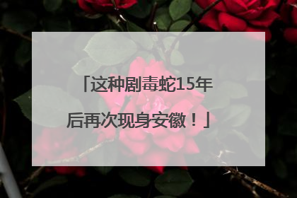 这种剧毒蛇15年后再次现身安徽！