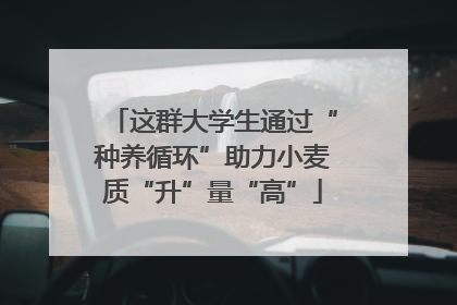 这群大学生通过“种养循环”助力小麦质“升”量“高”