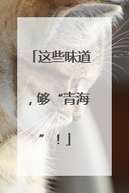这些味道，够“青海”！