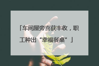 车间屋旁喜获丰收，职工种出“幸福餐桌”