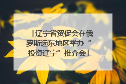 辽宁省贸促会在俄罗斯远东地区举办“投资辽宁”推介会