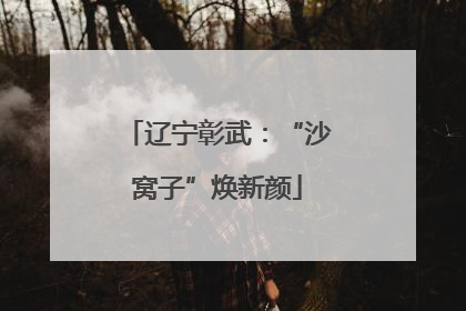 辽宁彰武：“沙窝子”焕新颜