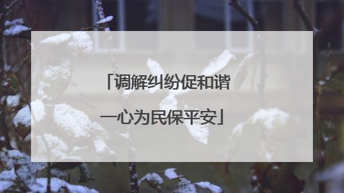 调解纠纷促和谐 一心为民保平安