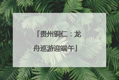 贵州铜仁：龙舟巡游迎端午