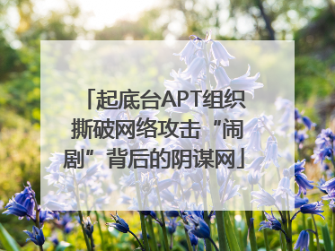 起底台APT组织 撕破网络攻击“闹剧”背后的阴谋网