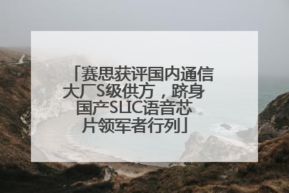 赛思获评国内通信大厂S级供方，跻身国产SLIC语音芯片领军者行列