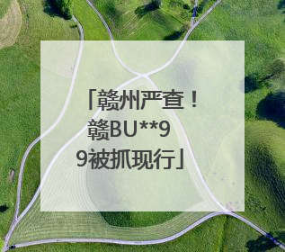 赣州严查！赣BU**99被抓现行