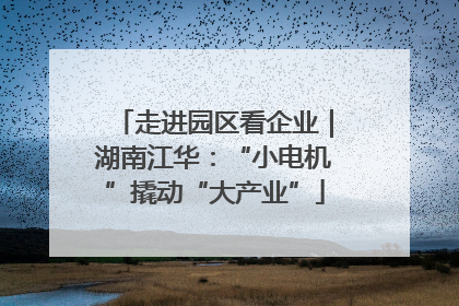 走进园区看企业｜湖南江华：“小电机”撬动“大产业”