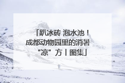 趴冰砖 泡水池！成都动物园里的消暑“凉”方丨图集