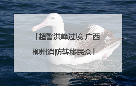 超警洪峰过境 广西柳州消防转移民众