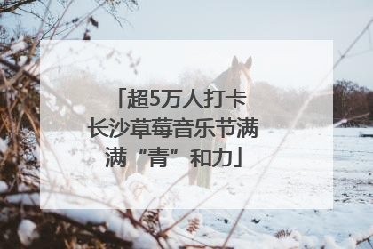 超5万人打卡 长沙草莓音乐节满满“青”和力