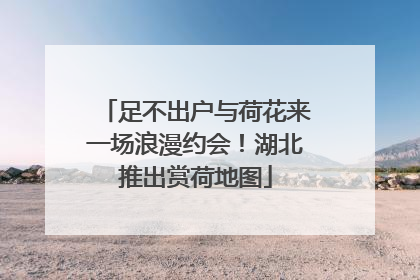 足不出户与荷花来一场浪漫约会！湖北推出赏荷地图