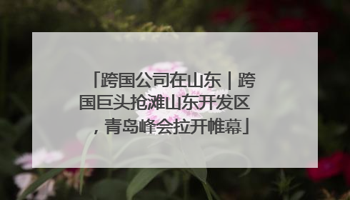 跨国公司在山东｜跨国巨头抢滩山东开发区，青岛峰会拉开帷幕