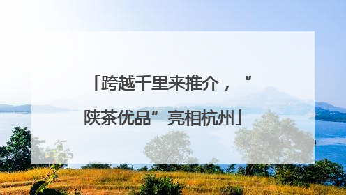 跨越千里来推介，“陕茶优品”亮相杭州
