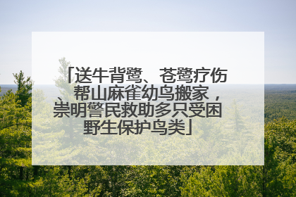 送牛背鹭、苍鹭疗伤、帮山麻雀幼鸟搬家，崇明警民救助多只受困野生保护鸟类