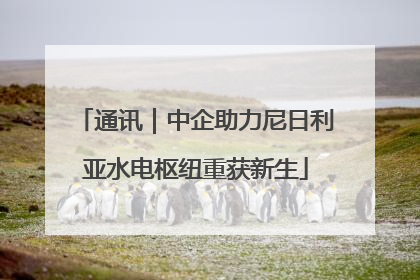 通讯｜中企助力尼日利亚水电枢纽重获新生