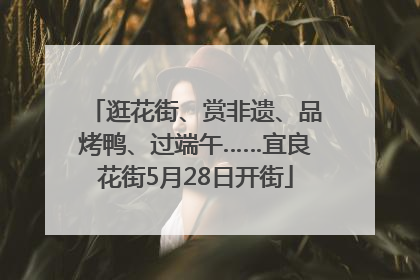 逛花街、赏非遗、品烤鸭、过端午……宜良花街5月28日开街