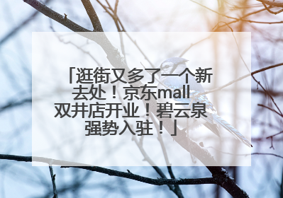 逛街又多了一个新去处！京东mall双井店开业！碧云泉强势入驻！