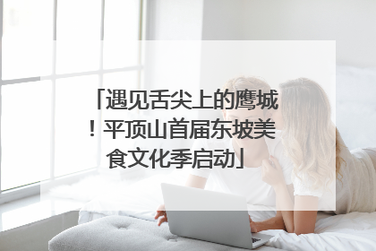 遇见舌尖上的鹰城！平顶山首届东坡美食文化季启动