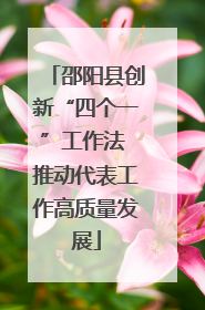 邵阳县创新“四个一”工作法 推动代表工作高质量发展