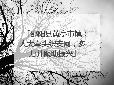 邵阳县黄亭市镇：人大牵头织安网，多力并聚助振兴