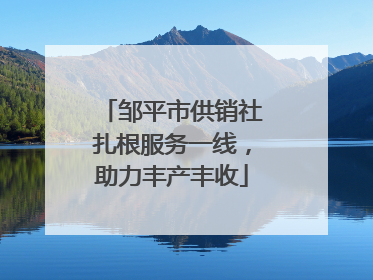 邹平市供销社扎根服务一线，助力丰产丰收
