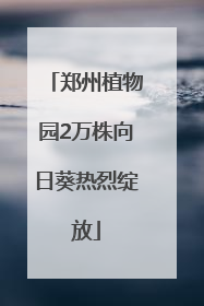 郑州植物园2万株向日葵热烈绽放