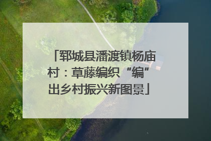 郓城县潘渡镇杨庙村：草藤编织“编”出乡村振兴新图景