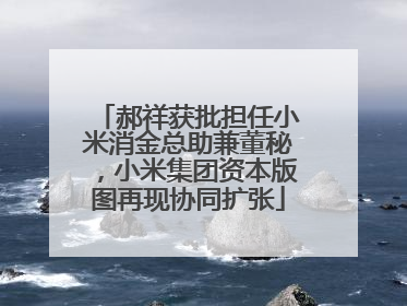 郝祥获批担任小米消金总助兼董秘，小米集团资本版图再现协同扩张