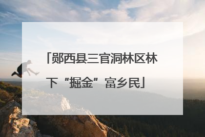 郧西县三官洞林区林下“掘金”富乡民