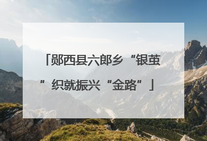 郧西县六郎乡“银茧”织就振兴“金路”