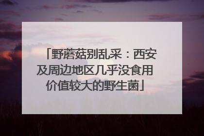 野蘑菇别乱采：西安及周边地区几乎没食用价值较大的野生菌