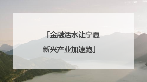 金融活水让宁夏新兴产业加速跑