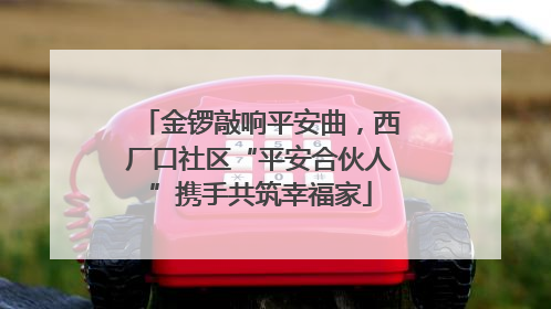 金锣敲响平安曲，西厂口社区“平安合伙人”携手共筑幸福家