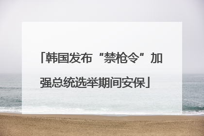 韩国发布“禁枪令”加强总统选举期间安保
