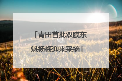 青田首批双膜东魁杨梅迎来采摘