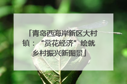 青岛西海岸新区大村镇：“赏花经济”绘就乡村振兴新图景