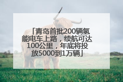 青岛首批200辆氢能电车上路，续航可达100公里，年底将投放5000到1万辆