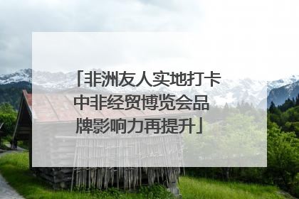 非洲友人实地打卡 中非经贸博览会品牌影响力再提升