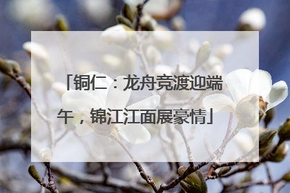 铜仁：龙舟竞渡迎端午，锦江江面展豪情