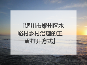 铜川市耀州区水峪村乡村治理的正确打开方式
