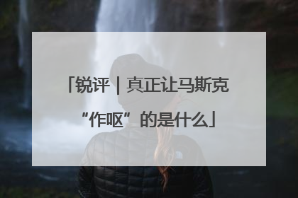 锐评｜真正让马斯克“作呕”的是什么